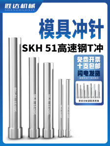High-Speed Steel Forming Needle SKH51 Hardened T Punch Hole Hardware Mold Punch Long 3 to 15*100 Customizable Mechanical Hardware