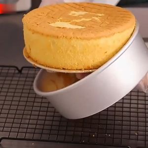 Round Cake Pan Loose Bottom Baking Cake Mold Removable Bottom Metal Baking Pan Aluminum Alloy Nonstick Bento Cake Pan Cheesecake Tray Oven Accessories Baking Tools Home Kitchen Accesorries 4/6/8/10 Inch