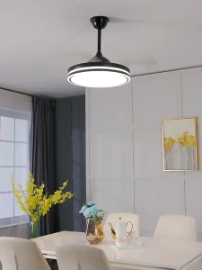 CHNT 2 In 1 Ceiling Fan With Light And 4 Blades Modern Home Dining Room Dormitory Mute Remote Control Invisible Fan Lamp