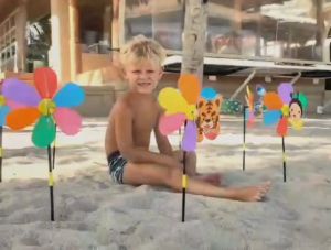 กังหันลมจัดสวน กังหันลมเด็กเล่น กังหันลมพลาสติก กังหันลมรูปเสือ กังหันลมรูปไก่ กังหันลมรูปนกยูง กังหันลมรูปผีเสื้อ กังหันลมรูปปลา