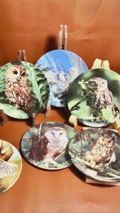 [Hàng Hiệu US/ England] WEDGWOOD - Night Hunter - 01 Chiếc Đĩa Cảnh Chim Cú Bằng Gốm Sứ 20cm