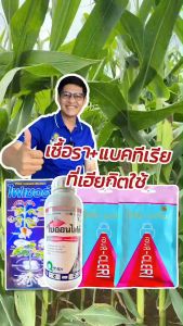 #ไฟเซอร์สารป้องกันกำจัดเชื้อรา 500 ซีซี โรคราสนิม โรครากเน่า โรคดอกธูป เชื่อราและแบคทีเรีย