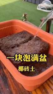 HappyDeal COCO-PEAT BLOCK BRICK COCO PEAT 650g