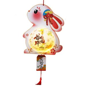 CHUDUO | DIY Carp Lantern Kit