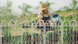 5 ชิ้น รั้วสวนหย่อม 61x70 ซม สีดำ รั้วต้นไม้ รั้วตกแต่งสวน 5pcs รั้วสวนเหล็ก ประตูรั้วลายทึบได้ แต่งสวน สีดำ รั้วสวนหย่อม