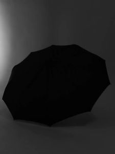 Automatic Windproof 12-Rib Business Umbrella