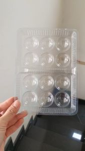 Set 50 - Khay hộp đựng bánh trôi trong suốt bằng nhựa 12 ô - Không nắp - Khay khoai môn