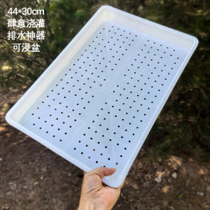 New Hollow out Tray Seedling Frame Bonsai Sand Tray Drainage Breathable Succulent Plant Pot Organizer Tray No Water Accumulation White Black
