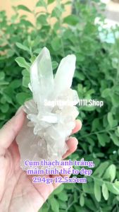 Cụm tinh thể đá thạch anh trắng trong mầm to đẹp độc đáo