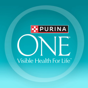 Purina ONE Urinary Care Dry Cat Food 380g 1.2kg