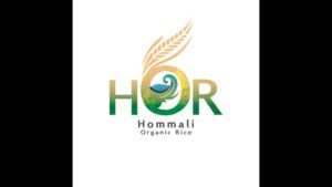 ข้าวกล้องหอมมะลิออร์แกนิก จังหวัดสุรินทร์ (Organic Jasmine Brown Rice / Organic Hommali Brown Rice)