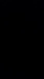 [3/6/12 Pcs] Promo Celana dalam wanita JUMBO Jinyuaner 36-5 polyester motif bunga murah nyaman