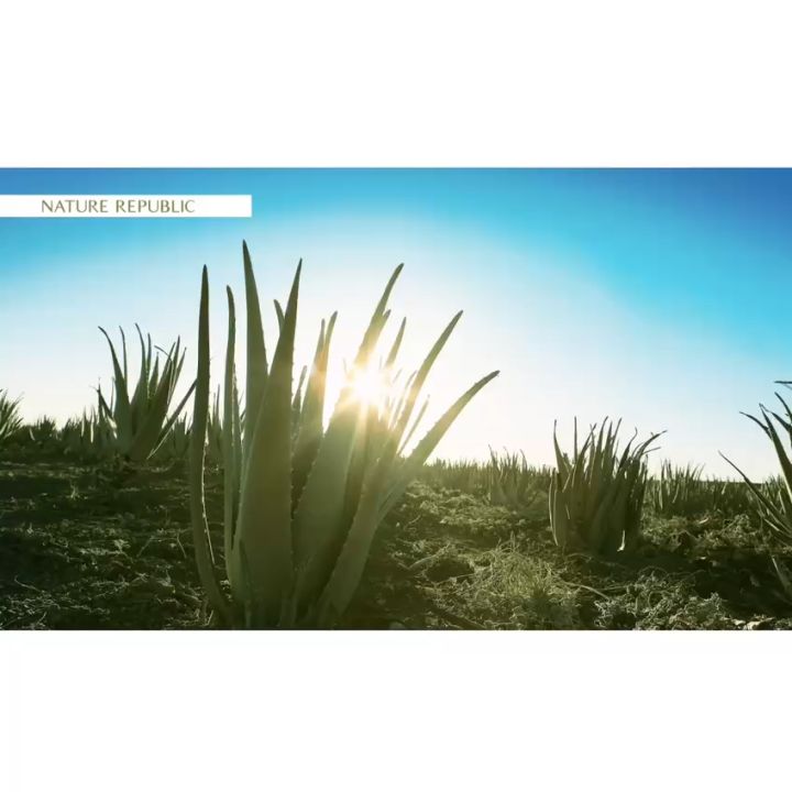 NATURE REPUBLIC Aloe Vera 92% Soothing Gel - 300ml