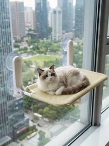 HELLOLEIBOO | Suction Cup Fixed Foldable Cat Bed for Sunbathing