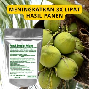 Pupuk Booster Kelapa: Meningkatkan Pertumbuhan Tanaman & Menghasilkan Buah Lebat