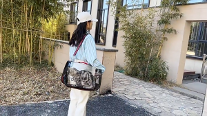 Portable dog cage and cat bag lightweight space capsule design a must-have for summer outings/Pet Carrier Bag /Foldable Breathable Transparent Bag/ Portable Outdoor Pet Travel Handbag/ 3 Sizes for Cats Dogs Birds