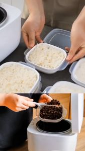 Homie Home กล่องเก็บอาหาร กล่องอเนกประสงค์ 2 ขนาด มี 2 ตัวแบ่ง เหลว สีขาว ฝาปิด พกพาง่าย