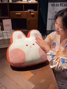 Gối Ôm Gối Tựa Lưng KÈM CHĂN Văn Phòng 2 Trong 1 Nhiều Mẫu | Mèo | Thỏ | Gấu | Ếch | Lợn (CÓ SẴN)