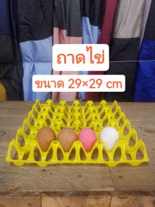 ถาดไข่พลาสติก ขนาด 29×29 cm. สีเหลือง 160g