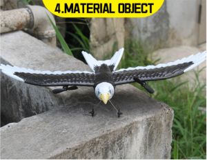 remote control airplane - RC Eagle Remote Control Plane RC Falcon