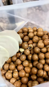 [HCM]Macca nứt vỏ tự nhiên Fresh Tamarind 500g