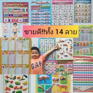 โปสเตอร์ติดผนัง ก.ไก่  กขค ก-ฮ   เป็นพลาสติกไม่มีเสียง* (จัดเซ็ท3ลายรู้ใจ)