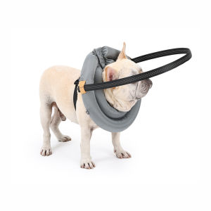 Mojioo Blind Dog Protective Collar - Anti-Crash Safety Ring for Pets Reflective & Adjustable Pet Head Guard Durable Oxford Fabric with Removable Padding (XS-2XL)