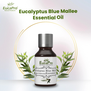 Eucalyptus Blue Mallee Essential Oil 15ml or 1000ml