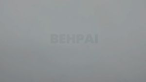 Ready Stock EXTRA Thick Premium 13mm 17X30 25X35 Courier Packaging Bag Without Pocket Parcel Dispatch Beg Kurier Flyer Consignment Note Pocket