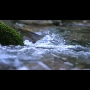 [Theoni] Natural Mineral Ph8 Water 1L x 12