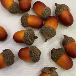 ลูกโอ๊คปลอม ลูกเอคอร์นปลอม ลูกโอ๊คตกแต่ง ผลไม้ปลอม พร็อพจิ๋ว  ของแต่งบ้าน พร็อพประกอบฉาก สินค้าพร้อมส่งจากกรุงเทพฯ