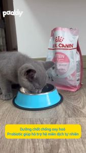 Hạt Cho Mèo Con Royal Canin Kitten 36
