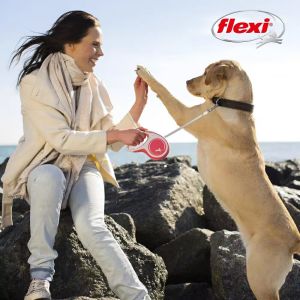 LovinlandPet Retractable Traction Rope Dog Leash: A Comprehensive Guide