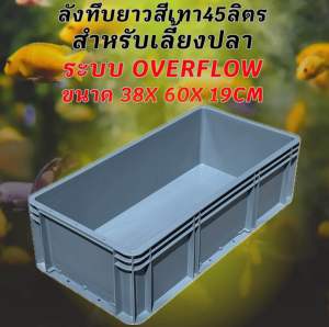 ลังพลาสติกแบบยาวทึบสีเทา วาวล์ขาว ระบบover flow สำหรับเลี้ยงปลา อ่างเลี้ยงปลา กะบะเลี้ยงปลา อ่างปลาบอลลูน อ่างปลาเมกาดะ