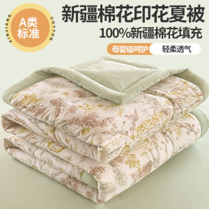 Bộ Đồ Lót Cotton Mùa Hè A-Class Double Layer Cotton Cho Phòng Ký Túc Xá Sinh Viên Và Trẻ Em Mỏng Thoáng Khí