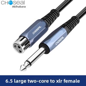 Choseal | xlr cable 6.35 to XLR Microphone Cable