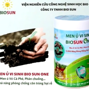 Chế Phẩm Vi Sinh BIOSUN ONE 1KG – Trichoderma Ủ Phân Chuồng Cải Tạo Đất Diệt Tuyến Trùng Kích Rễ