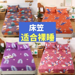 Fitted Sheet One-Piece Bedspread Mattress Cover Winter Simmons Mattress Washed Cotton Dustproof Protection Bed Sheets All Inclusive 2023 New Arrival