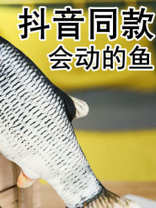 Talking Singing Jumping Fish Toy Electric Baby Soothing Device Childrens Plaything Infant Toddler Interactive Plush Animal