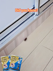 1 day kill all cockroaches Japan Cockroach Killer Bait Household kitchen Cockroach catcher bait Powder Cockroach Killing Bait Cockroach Gel Bait Cockroach Medicine Roach Killer tkill cockroach Cockroach eliminator Pesticide Pest german Cockroach Killer