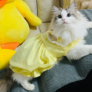 Petone dOrage | Breathable Anti Shedding Cat Princess Dress