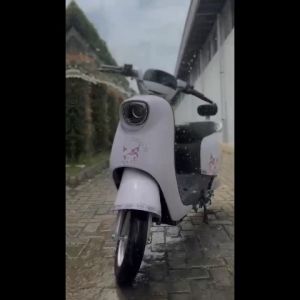 Sepeda Listrik SAIGE LUNA