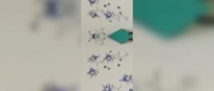 #PROT WASHABLE THIN SINGLE QUEEN KING FITTED MATTRESS PROTECTOR BED PROTECTOR PELINDUNG TILAM F1