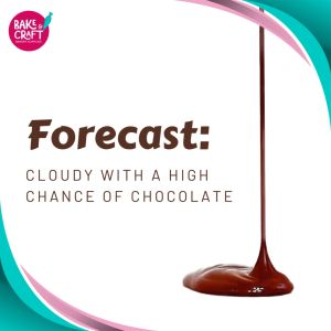 JB15 Alkalized Cocoa Powder 500G New Stocks