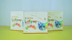 Ranova Langnuo Cat Treat Lollipop Freeze Dried 15pcs/box Teeth Healthy Interactive Snack For Dogs Cats