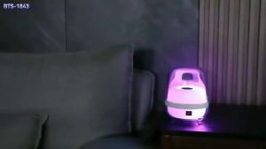 Brodu 10W RGB Light Up Wireless Bluetooth Speaker-3-Inch 3 Hour Playtime Professional Sound System