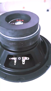 Loa bass 20 từ kép bm--b chất hay - Loa từ kép - giá 1 chiếc