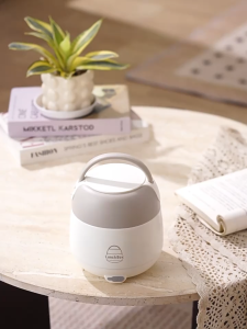 Electric Lunch Box With Lunch Bag Set Portable Lunch Box Heater Insulated Lunch Box Food Warmer Bento Electric Cooker Stainless Cooking Pot