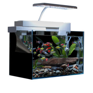 REVGUEN | Electrostatic Fish Tank External Black Background Wallpaper