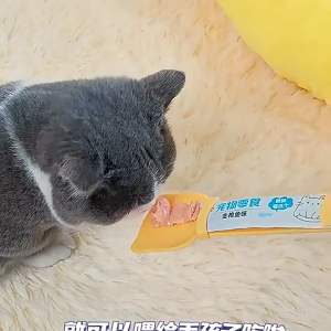 ช้อนป้อนขนมแมวเลีย ช้อนบีบ ช้อนป้อนขนม ช้อนขนมแมว พกพาได้การออกแบบหัวแมวการ์ตูน ไม่เลอะมือ ที่บีบง่าย นำมาใช้ซ้ำได้ [3 สี]